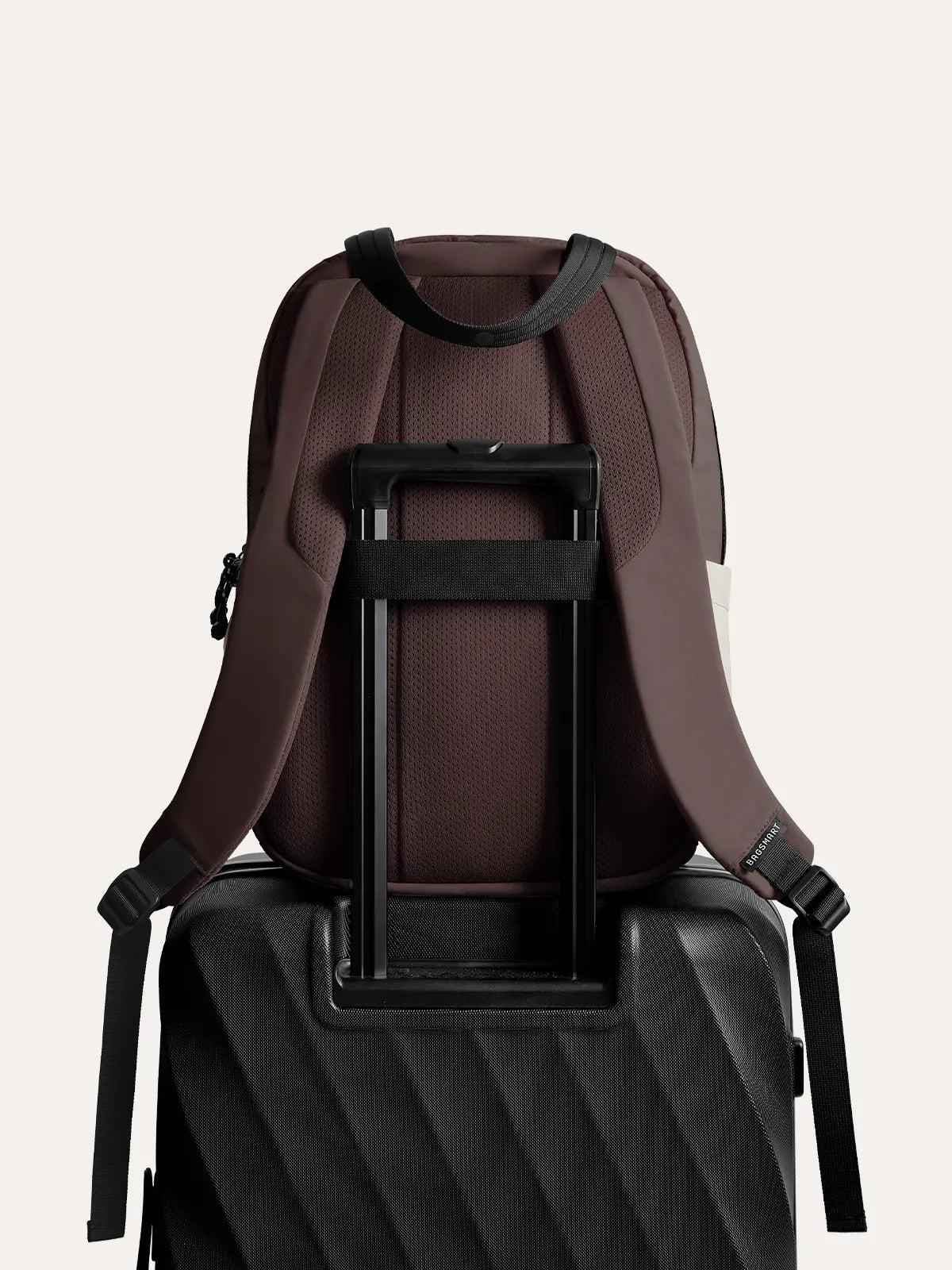 Paz 23L Work Backpack