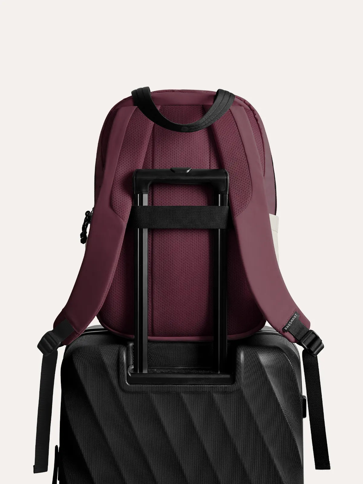 Paz 23L Work Backpack