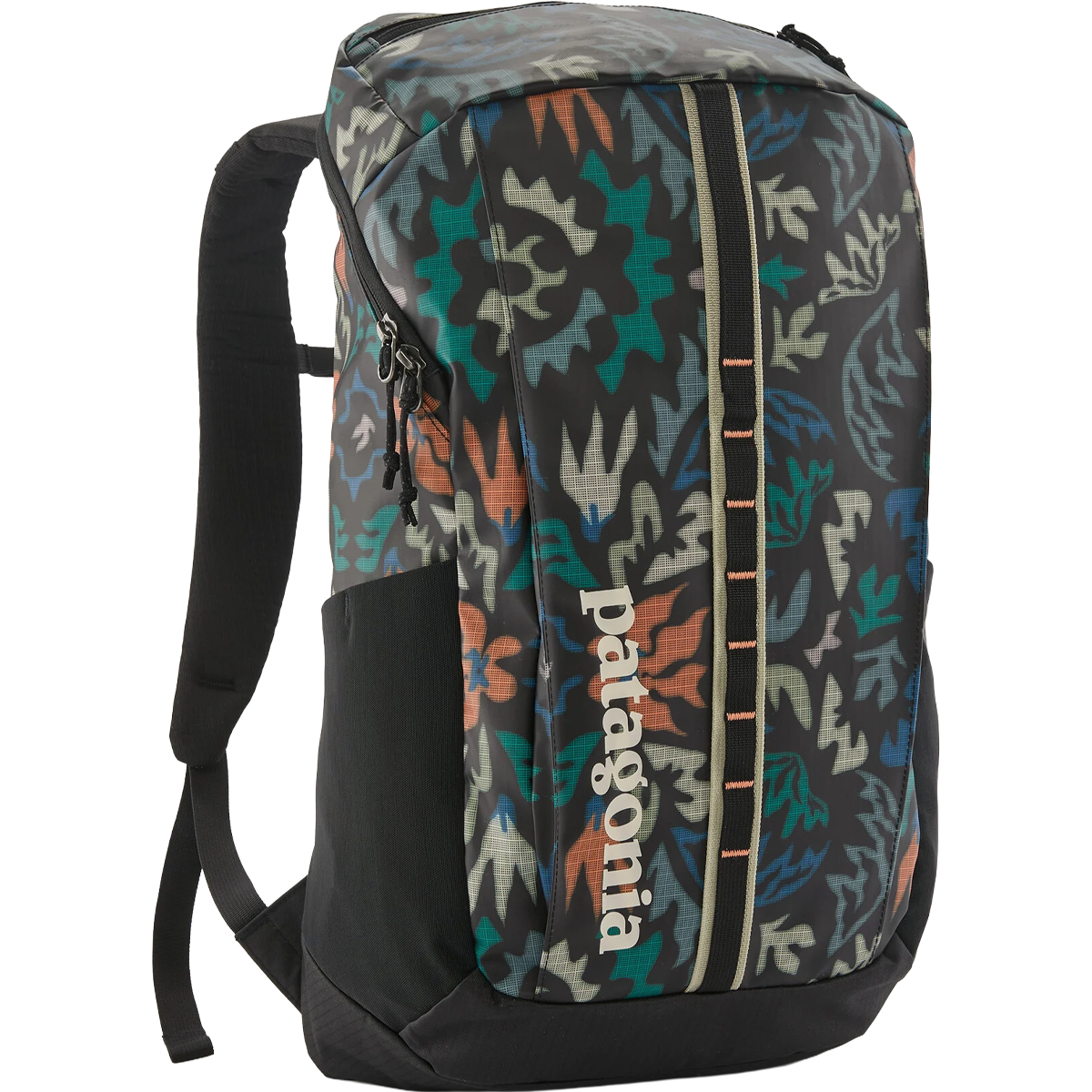 Black Hole Pack 25L