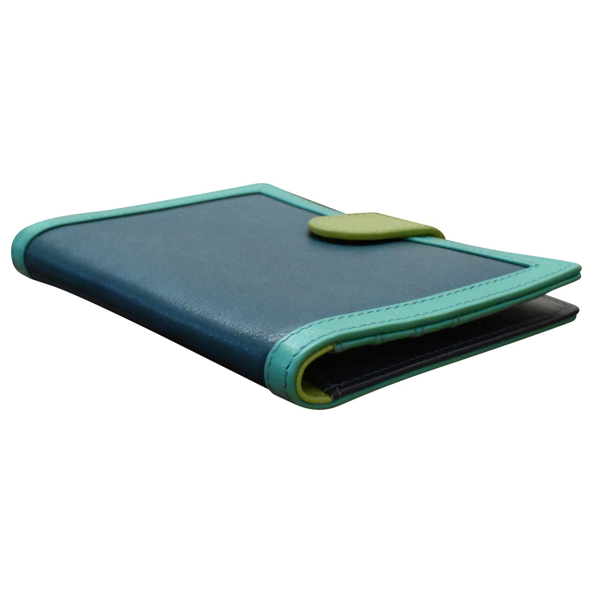 MULTI COLOR PASSPORT WALLET